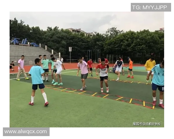 武汉篮球队拼搏历程揭秘：世界杯预选赛背后的奋斗与荣耀