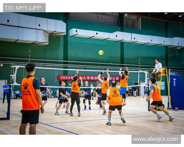 深圳排球队在全国排球速度排行榜中荣获第八名的佳绩引发关注