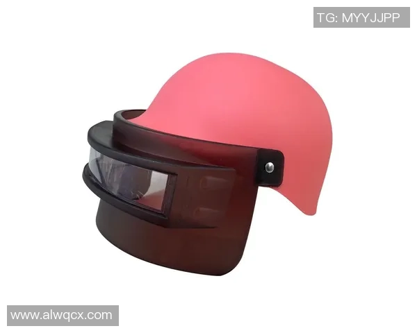 滑板装备选购：头盔推荐